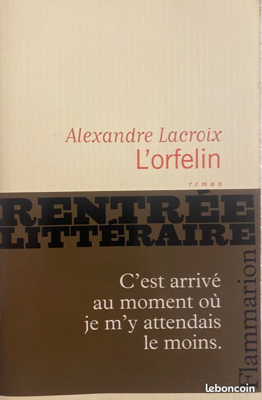 Littérature : L’Orfelin, A. Lacroix,Flammarion 2010 (image 1)