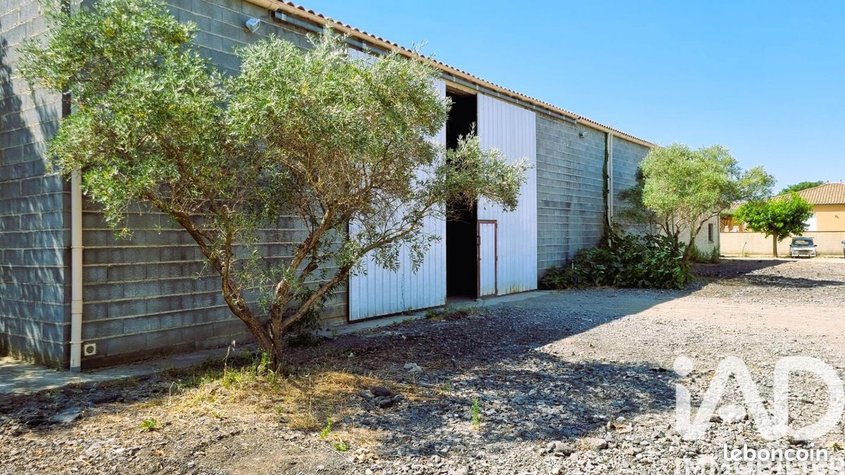 Maison 1 pièce · à Puissalicon · 262 000 €