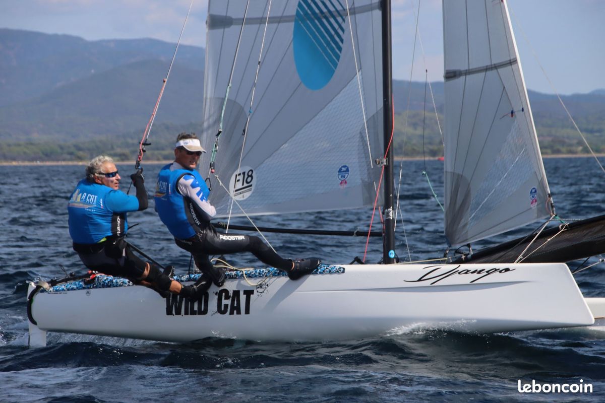 Hobie Cat F18 WilCat catamaran (image 3)