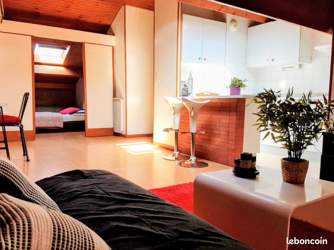 Appartement 1 pièce 41 m² · à Toulouse · 41 m² · 667 €