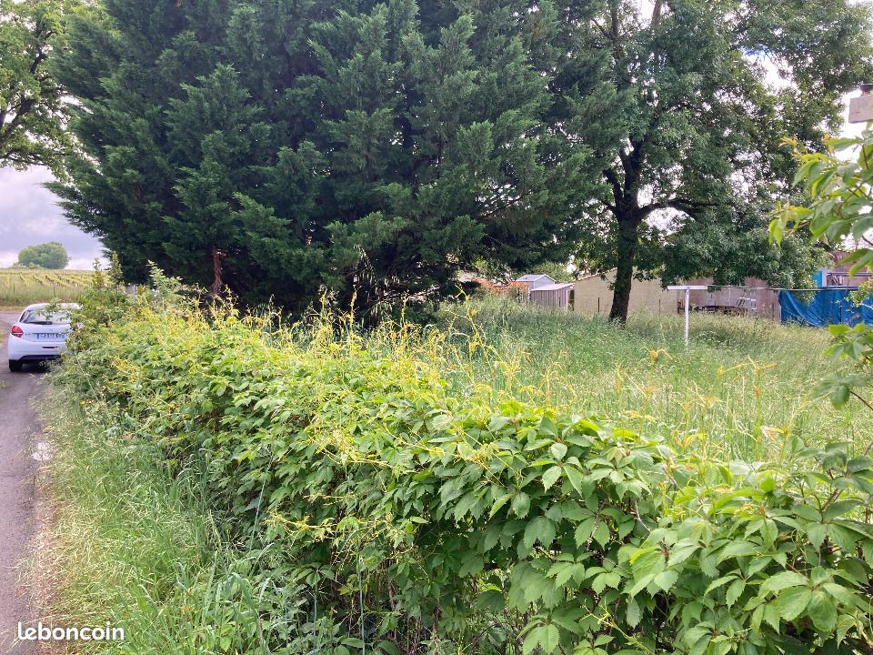 Terrain 373 m² · à Chaniers · 31 685 €