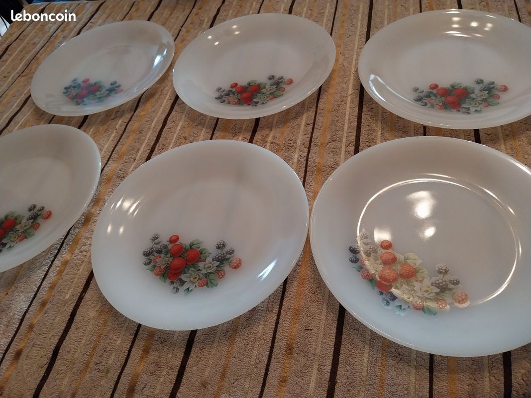 Assiette plate - Arcopal - Delhi - Brocante en ligne
