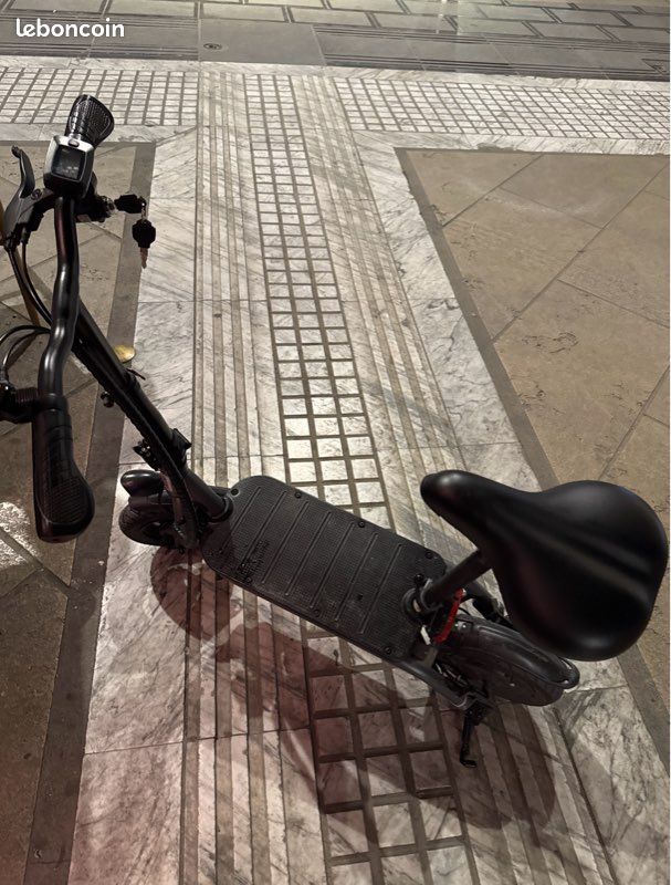 Draisienne E-scooter (image 1)
