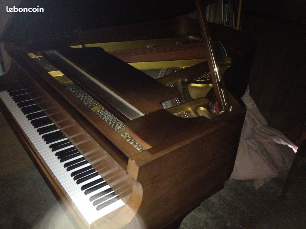 Piano demi queue (image 1)