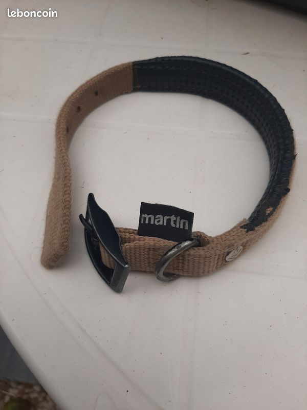 Collier chiot ou petit chien (image 1)