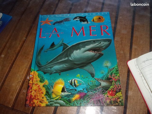 Livre enfant (image 1)