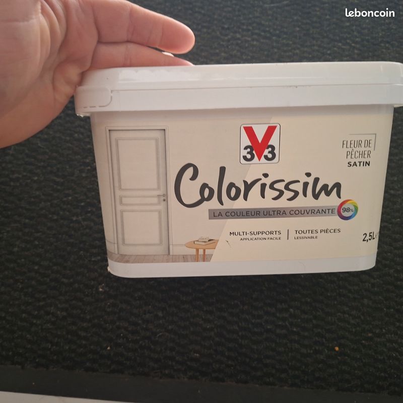 Peinture (image 1)