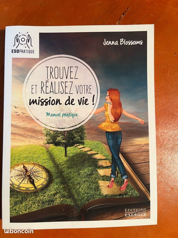 Manuel pratique : trouvez et réalisez votre mission de vie de Jenna Blossoms (image 2)