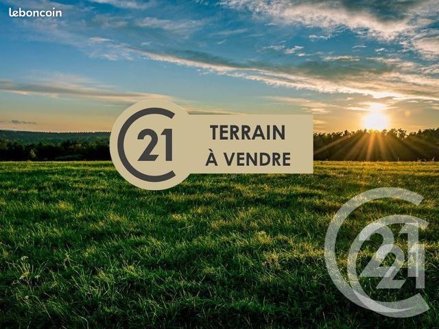 Terrain 2 000 m² Cuisery (image 1)