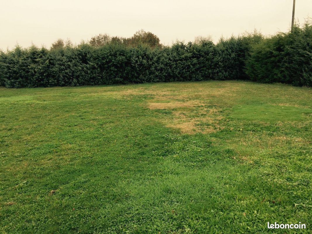 Terrain 338 m² · à Savigny-sur-Orge · 338 m² · 228 000 €