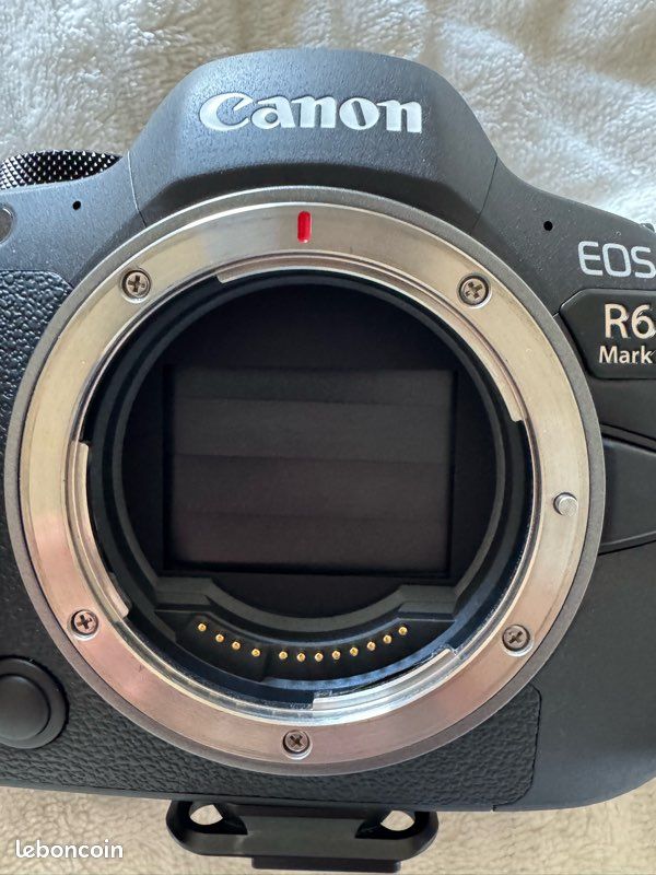 Canon r6 mark II plus objectif et accessoire (image 2)