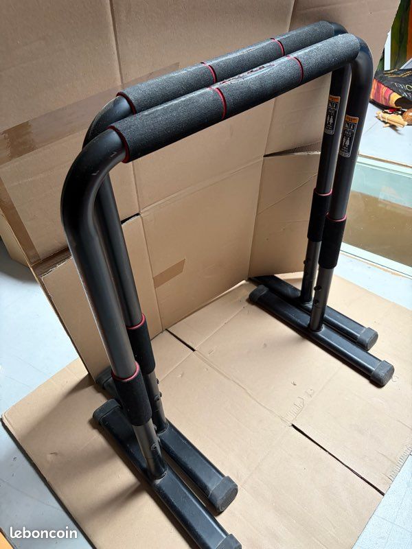 Barre dips (image 1)
