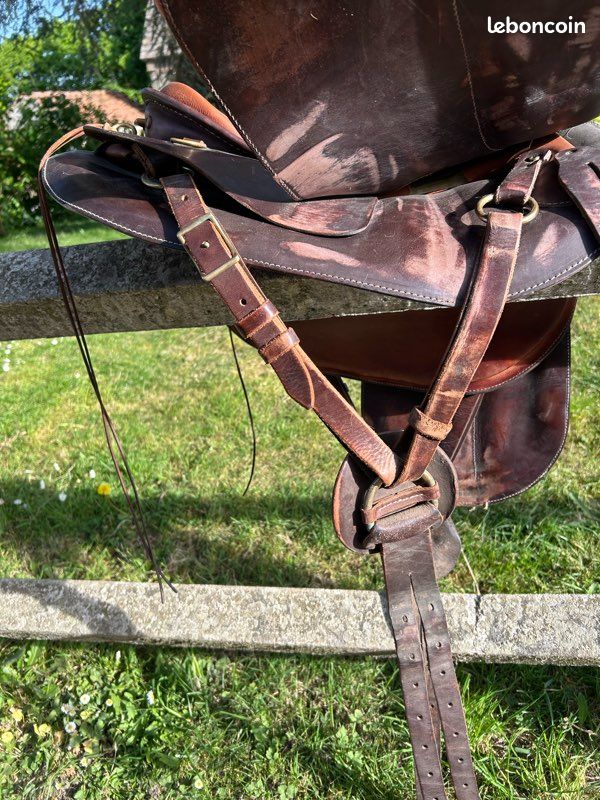 Selle de randonnée TH-Cuir (image 3)