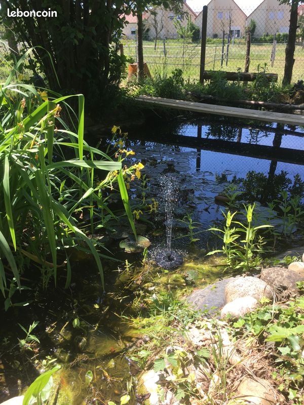 Gites en alsace (image 10)