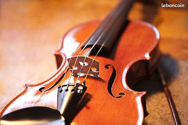 Violon - Cours particuliers (image 1)
