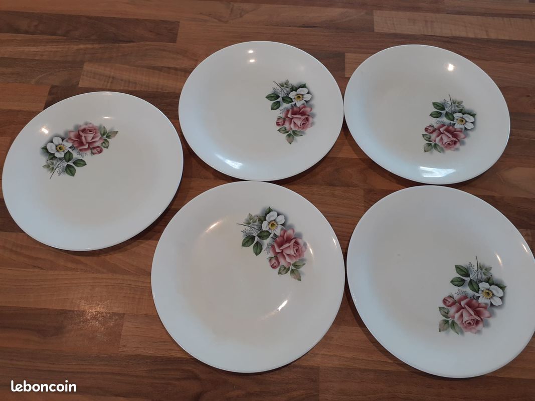 Lot de 5 assiettes plates Arcopal (image 3)