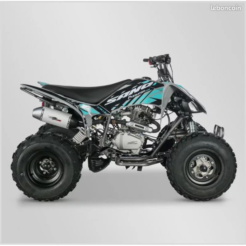 Quad APOLLO 250 prédator / 4 vitesses (image 2)