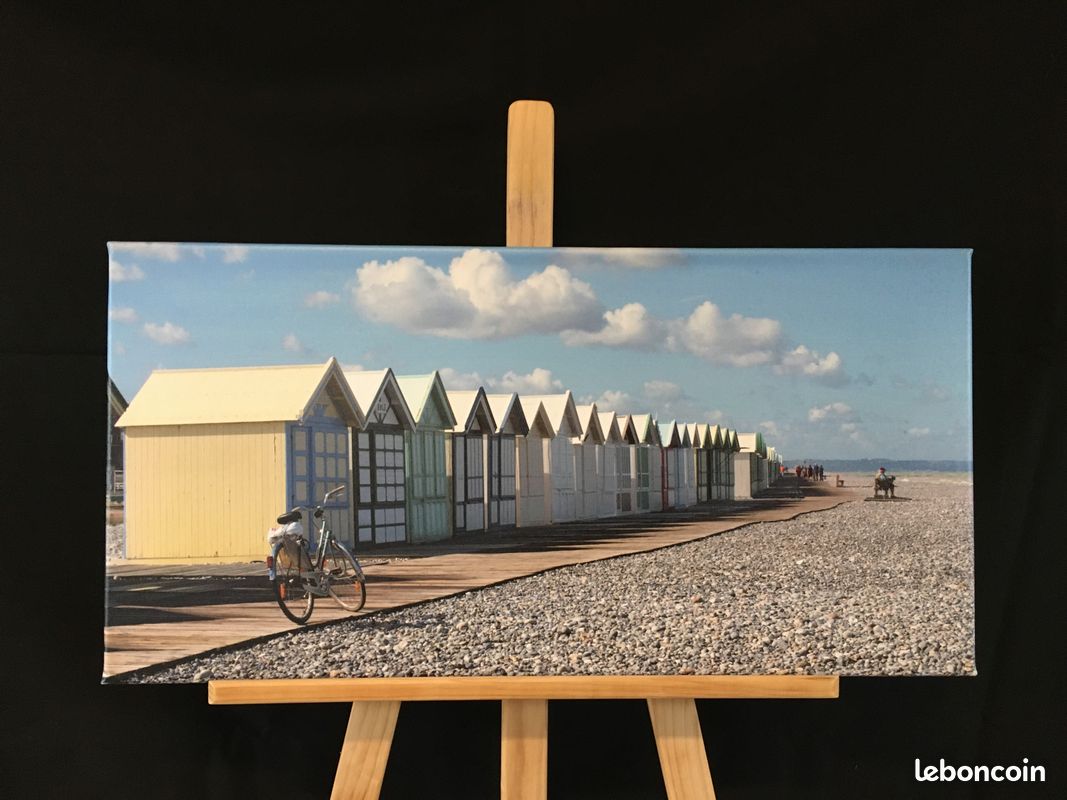 Photos imprimées sur toile cadre bois (image 17)