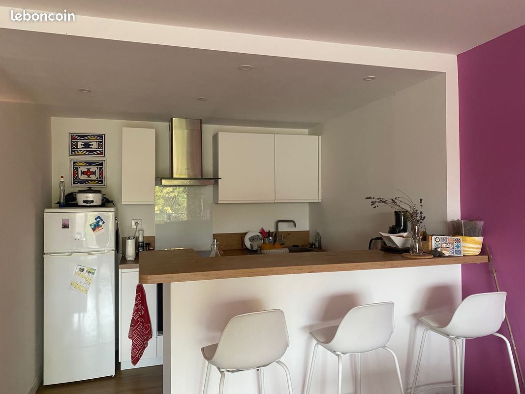 Loue appartement 3 mois (image 3)