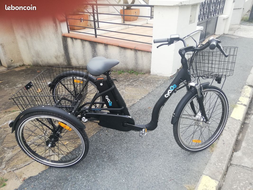 Vend tricycle électrique (image 1)