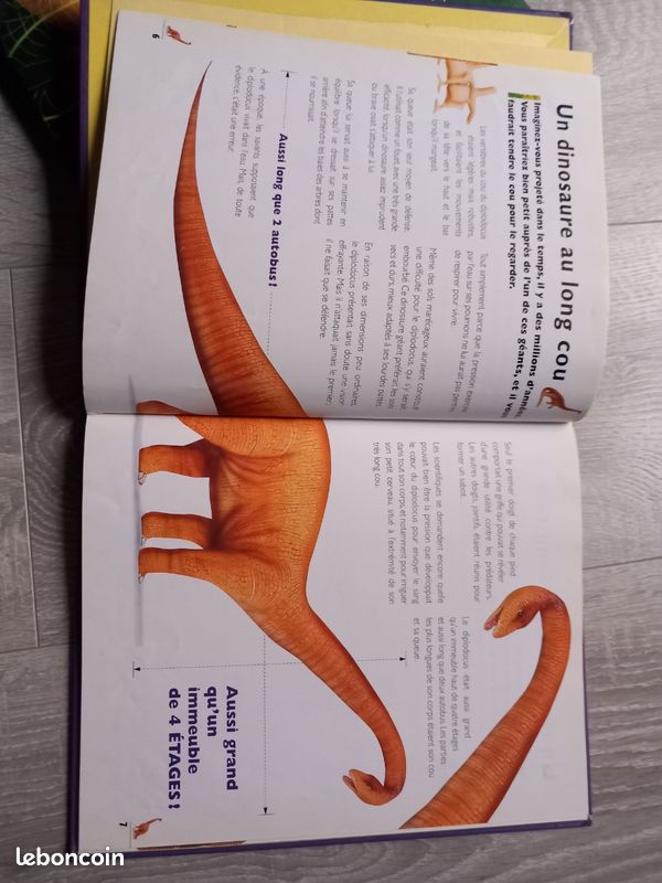 Lot livres sur les dinosaures (image 8)