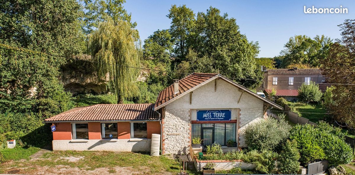 Maison 9 pièces 220 m² · à Cahuzac-sur-Vère · 220 m² · 294 000 €