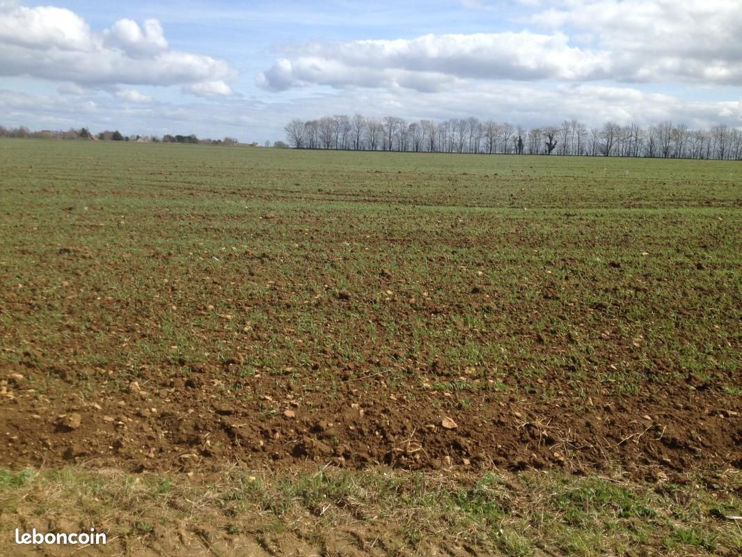Terrain 519 m² · à Villons-les-Buissons · 139 000 €