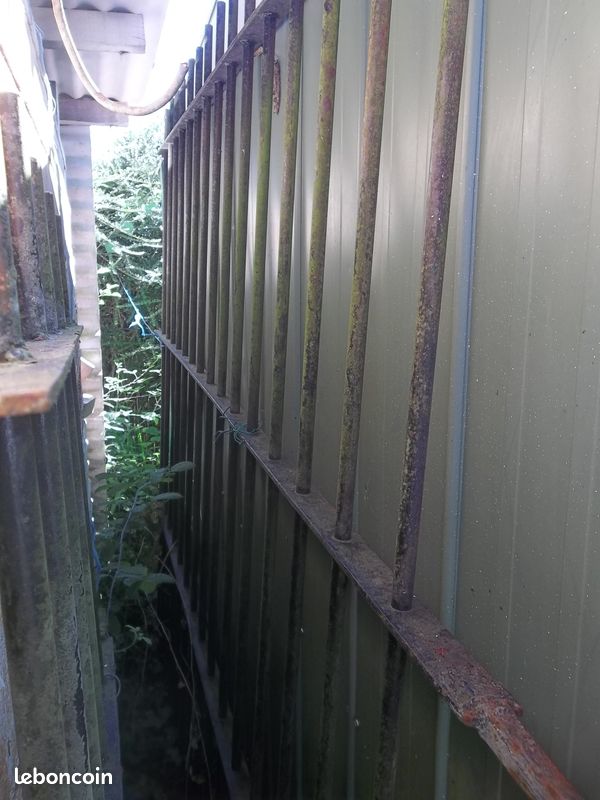 Grille + portillon en fer forgé (image 1)
