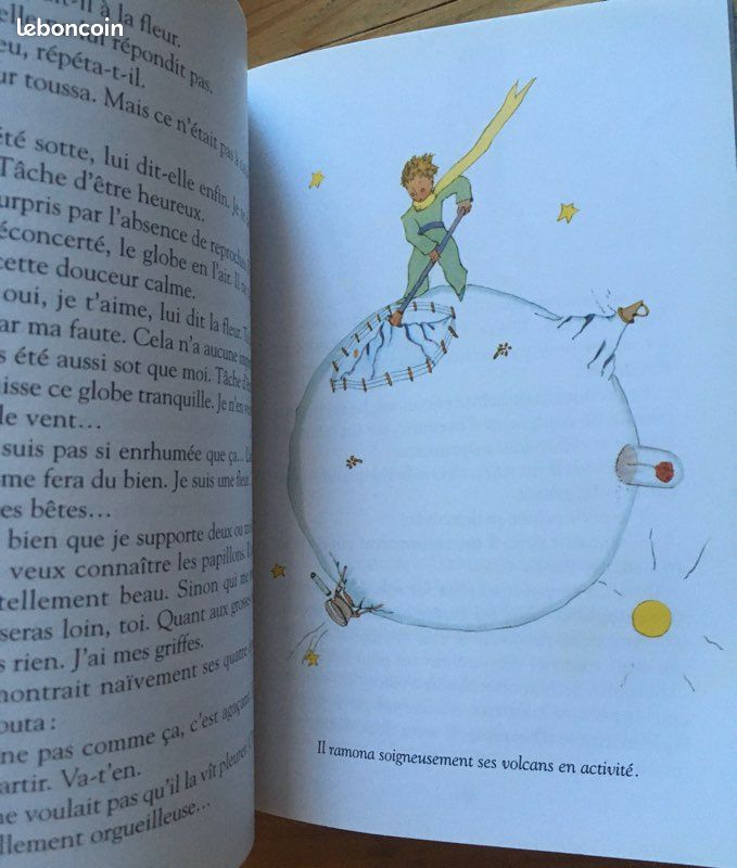 Roman Le petit prince et le petite princesse (image 2)