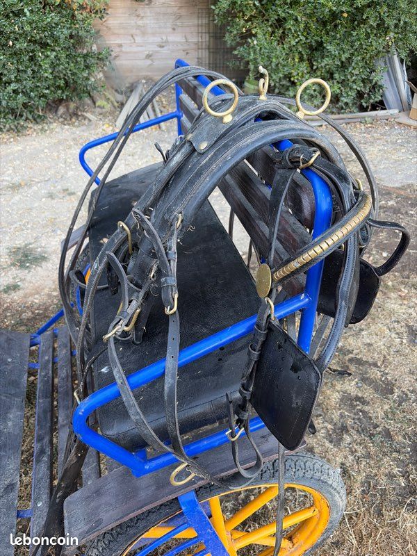 Calèche 2 roues (image 7)