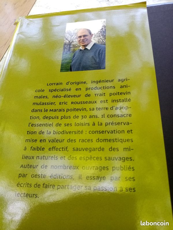 Le Baudet du Poitou, le trait poitevin mulassier et la mule poitevine (image 3)