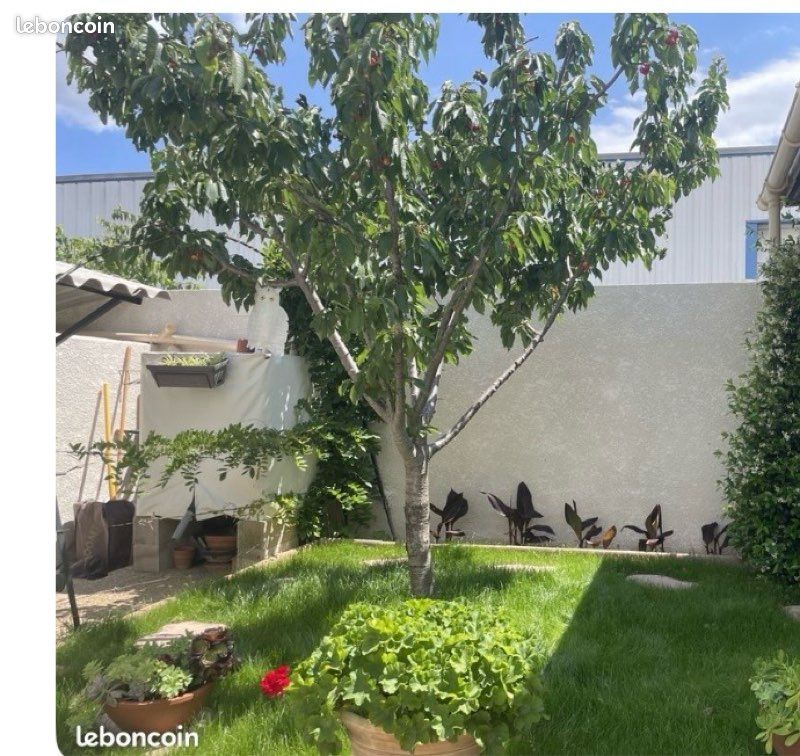 Maison 6 pièces 246 m² · à Céret · 246 m² · 435 000 €