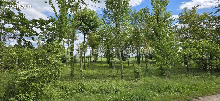 Terrain 1 290 m² Cramoisy