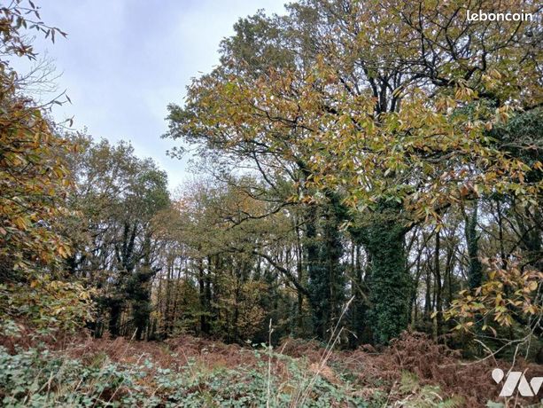 Terrain 7515 m² ALLAIRE