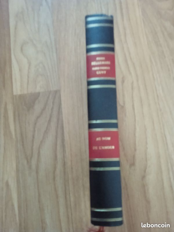 Livre Pierre Bellmare (image 4)
