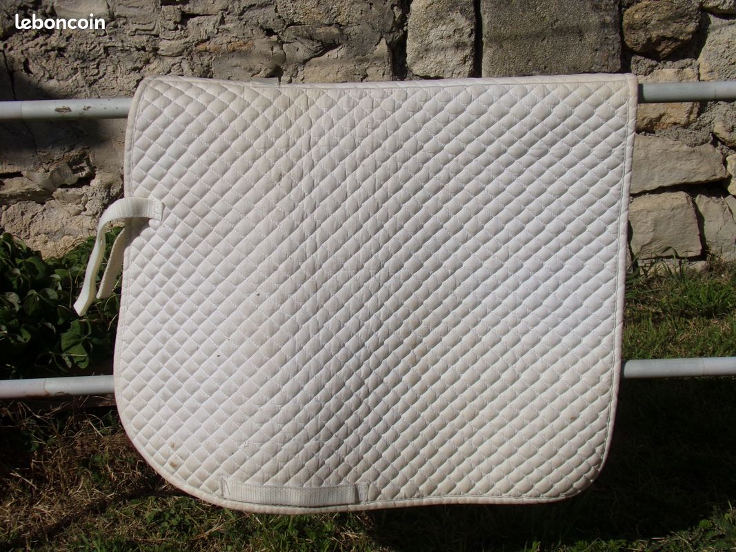 Tapis équitation (image 1)