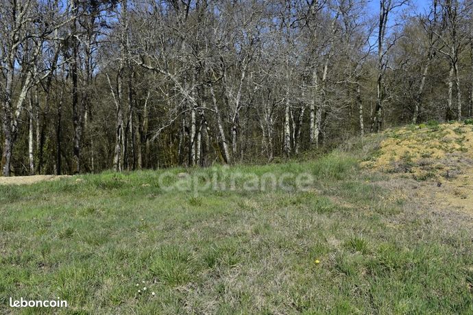 Terrain 1 318 m² Cursan