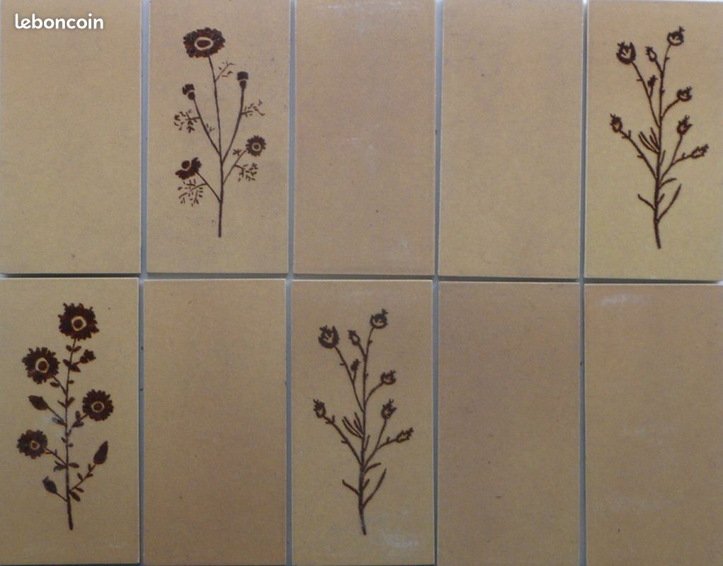 Carrelage FAIENCE / DESVRES 7,5X15 (image 1)