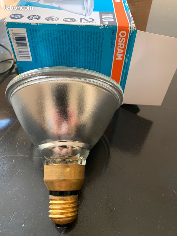Osram Halogen (image 5)