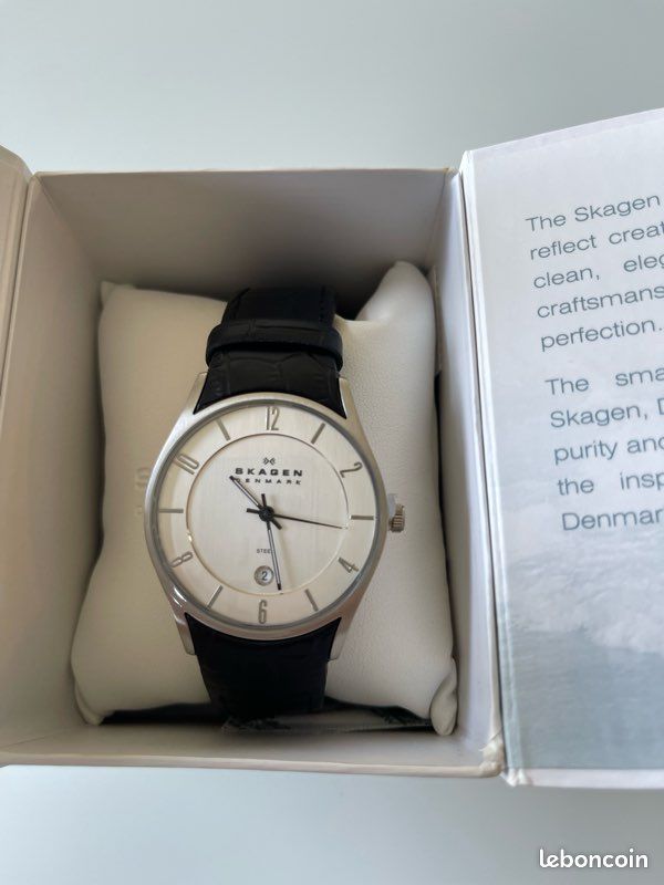 Montre skagen homme état neuf (image 1)