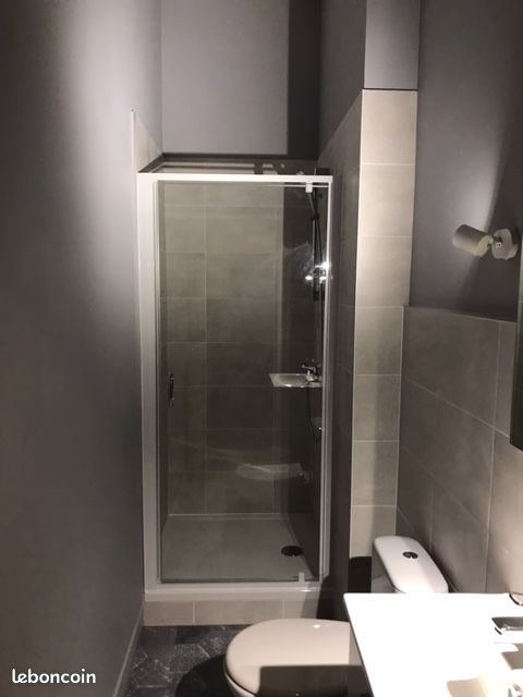 Appart T3 Hyper-Centre Limoges - Limoges 87000 Centre-Hôtel de Ville Emailleurs (image principale 2)