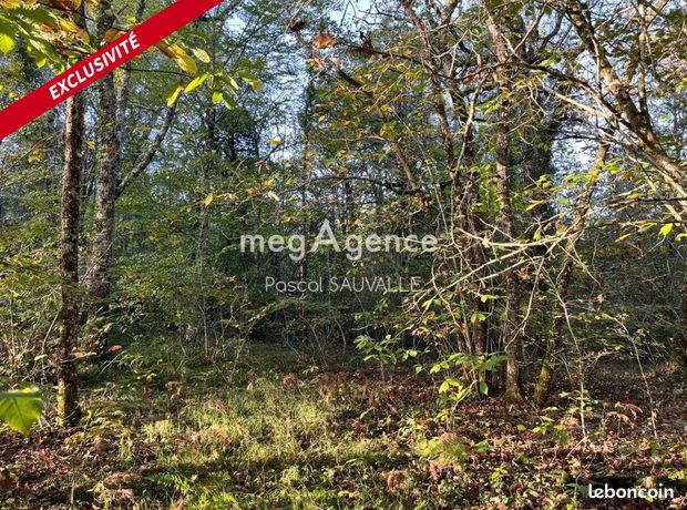 Terrain 9000 m² Chancelade