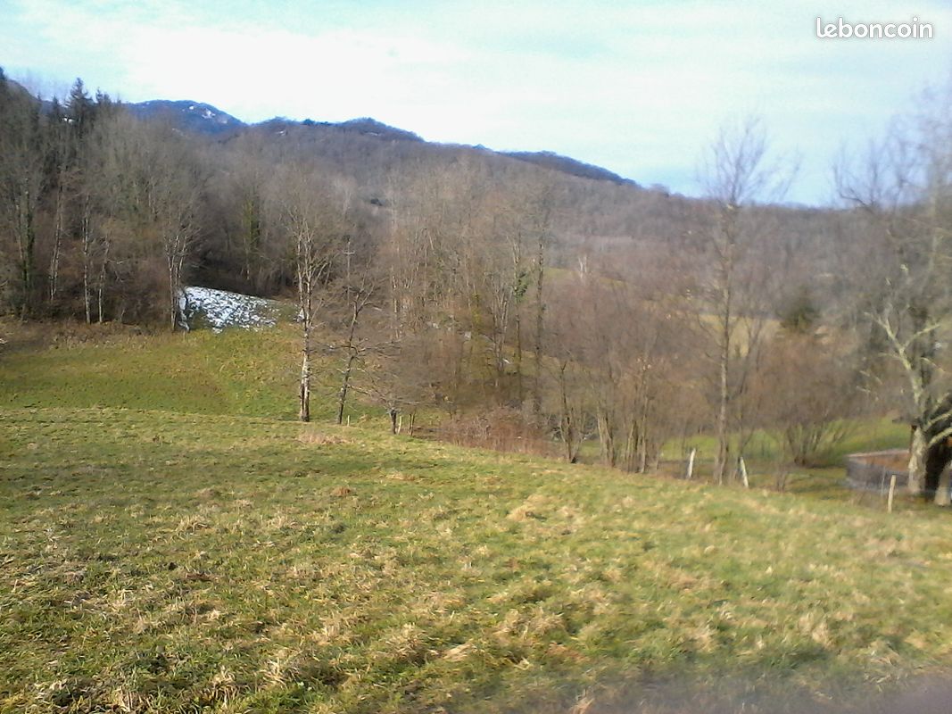 Terrain viabilisé (image 1)