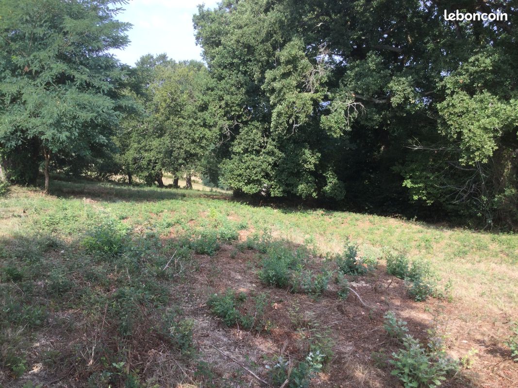 VENTE GRAND TERRAIN à BATIR · à Bardos · 150 000 €