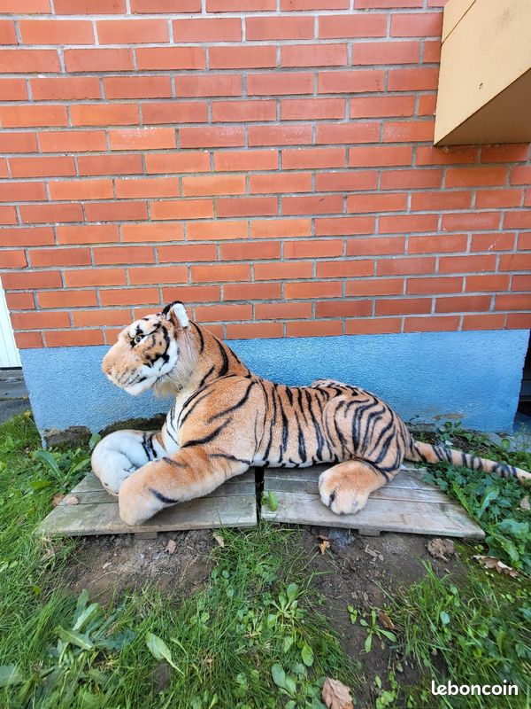 Peluche (image 4)