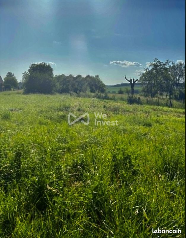Terrain 2399 m² · à Doncourt-lès-Longuyon · 2 399 m² · 173 000 €