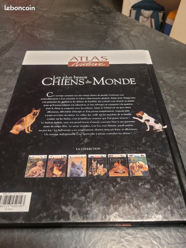 Les plus chiens du monde (image 3)