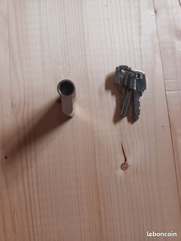 Cylindre pour boîtier à clé (image 3)