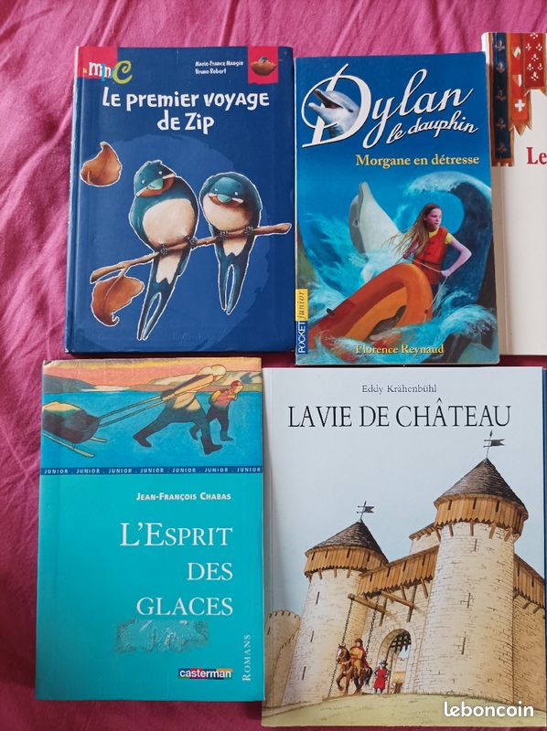 Divers livres (4) (image 2)