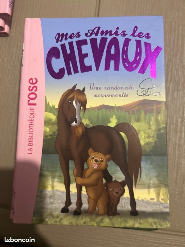 Je vend ce livre pour enfants (image 4)